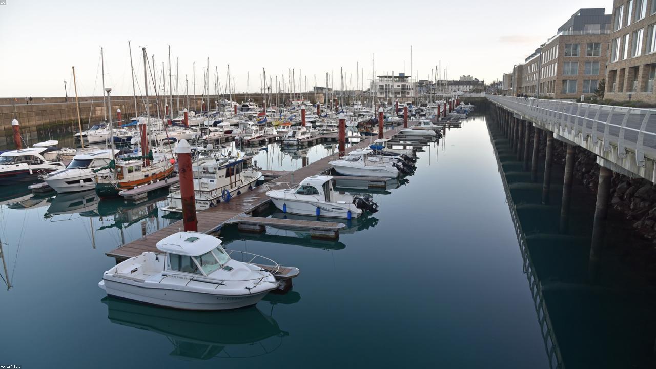 A marina full of moored boats and yachts
