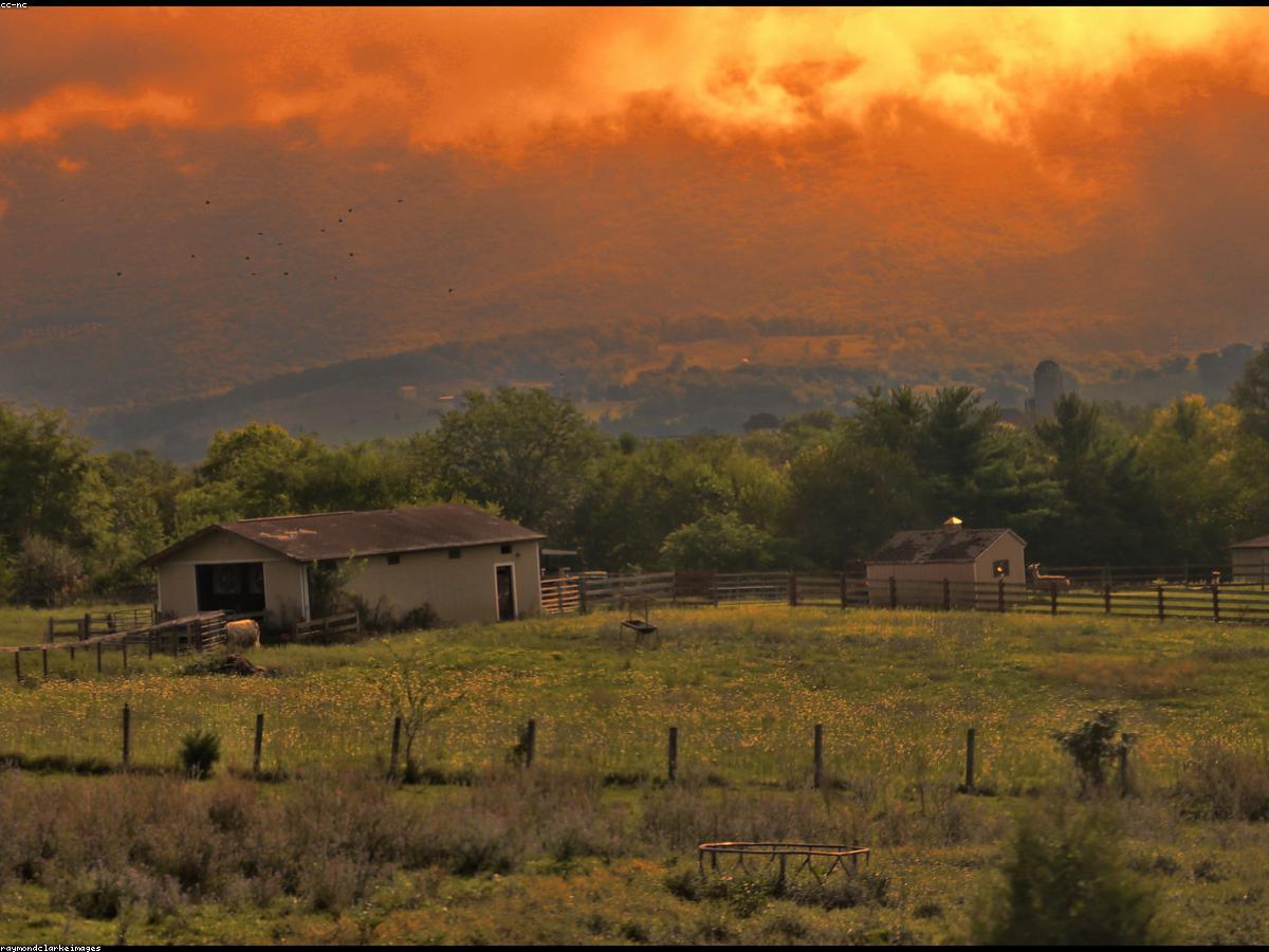 A stable yard and paddock
